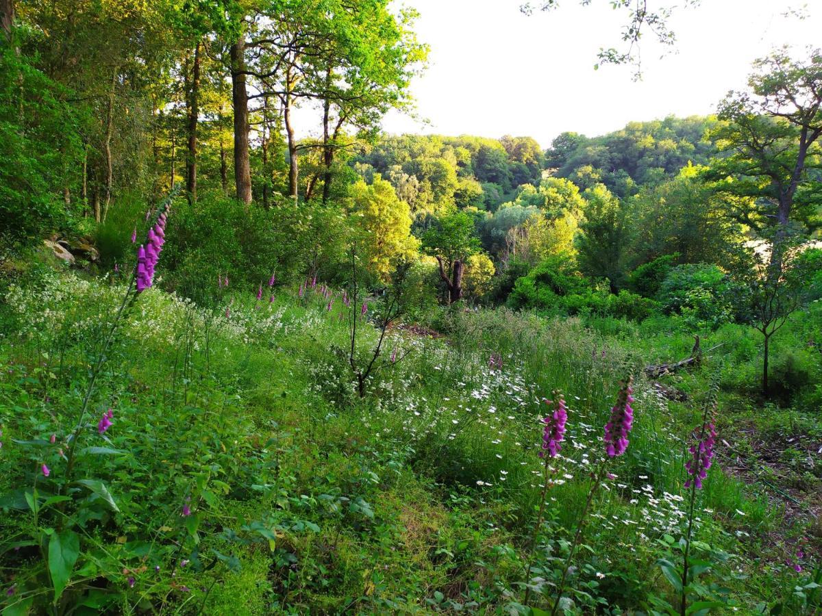 Les Gites Des Beaux Chenes Mortagne-sur-Sevre Exterior photo